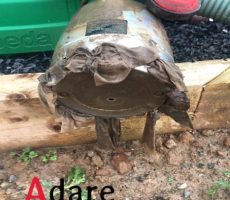 Disposable-Wipes-Damaging-Septic-Systems-Adare-Biocare-Ireland